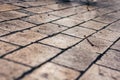 Paving stones in rainy day, pavement in the park, paved with stone slabs