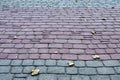Park paving stones made of granite colored bricks Royalty Free Stock Photo