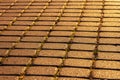 Paving stones in the sunlight Royalty Free Stock Photo