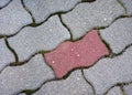 Paving stones. Royalty Free Stock Photo
