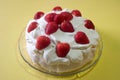 Pavlova