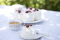 Pavlova cakes with cream and fresh summer berries. Pavlova cakes Royalty Free Stock Photo