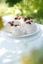 Pavlova cakes with cream and fresh summer berries. Pavlova cakes Royalty Free Stock Photo