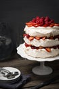 Pavlova, Meringue Cake with Fruit and Whipped Cream Royalty Free Stock Photo