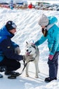 Pavlovsky Ski Park, Russia - March 10, 2018: girl stroking Siberian Husky