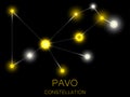 Pavo constellation. Bright yellow stars in the night sky. A cluster of stars in deep space, the universe. Vector illustration Royalty Free Stock Photo