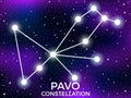 Pavo constellation. Starry night sky. Cluster of stars and galaxies. Deep space. Vector