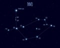 Pavo constellation, vector illustration with the names of basic stars