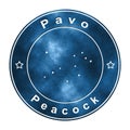 Pavo Star Constellation, Peacock Constellation Royalty Free Stock Photo
