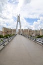 Pavshinsky Bridge also bridge Pavshinskaya Poima or Spassky Bridge is pedestrian cable-stayed bridge across Moskva River.