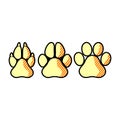 Paw of an animal, canine footprints. Traces of dog paws, dog paws Royalty Free Stock Photo
