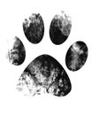 Paw print Royalty Free Stock Photo