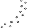 Paw print of cat, dog. Pawprint on white banner. Pet footprint trail walk. Animal foot track. Step silhouette icon. Pet