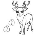 Paw print with Deer Coloring Page vector