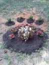 Paw print pet memorial garden plot