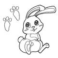 Paw print with Rabbits Coloring Pages vector