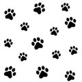 Paw prints