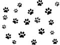 Paw prints Royalty Free Stock Photo