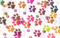 Paw prints