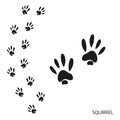 Paw prints, animal tracks, squirrel footprints pattern. Icon and track of footprints. Black silhouette.