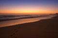 Paw prints on the beach Royalty Free Stock Photo