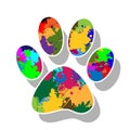 Paw prints colorful