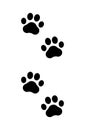 Paw prints. Icon dog puppy and cat. Footprint pet. Foot puppy isolated on white background. Black silhouette paw. Cute shape paw p Royalty Free Stock Photo