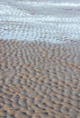 paw prints in the sand Royalty Free Stock Photo