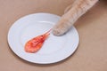 The paw of a red cat touching a red boiled shrimp lying on white plate. Cat food, pet diet. Harmful and healthy food for pets