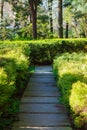 pawed path between shrubs in the park