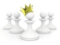 Pawn in a golden crown leadership concept Royalty Free Stock Photo