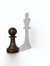 Pawns shadow Royalty Free Stock Photo