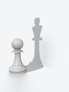 Pawns shadow Royalty Free Stock Photo