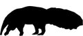 Anteater Vermilingua Silhouette Royalty Free Stock Photo