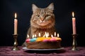 Paws and Candles: A curious cat peers at a cake crowned with candles, embodying the essence of a pet's birthday bash