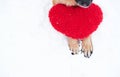 Valentines Day card with dog on white background. Paws of German Shepherd of red color on snow with large soft toy red heart Royalty Free Stock Photo