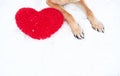 Valentines Day card with dog on white background. Paws of German Shepherd of red color on snow with large soft toy red heart Royalty Free Stock Photo