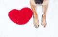 Valentines Day card with dog on white background. Paws of German Shepherd of red color on snow with large soft toy red heart Royalty Free Stock Photo