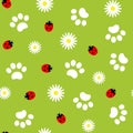 Paws pets with ladybug on green seamless pattern Royalty Free Stock Photo