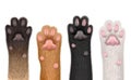 Paws realistic. Cats domestic funny animals fluffy foot with claw decent vector templates body parts collection isolated