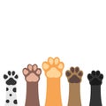 Paws up pets set.