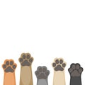 Paws up pets on white background.