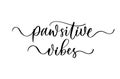 Pawsitive vibes. Modern calligraphy inscription poster. Wall art decor. Royalty Free Stock Photo