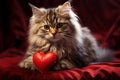 Pawsitively adorable A sweet kitten nestled with a heart radiating love