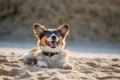 Pawsitively Relaxed: Candid Lifestyle Shot of a Playful Dog Enjoying the Beach Royalty Free Stock Photo