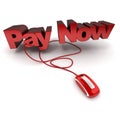 Pay now online Royalty Free Stock Photo