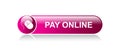 Pay online now Royalty Free Stock Photo