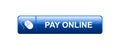 Pay online now Royalty Free Stock Photo