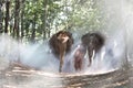 Pay respect to the shrine. Elephant mahout portrait. The Kuy Kui People of Thailand.