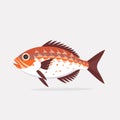 payara fish fish vector flat minimalistic isolated illustration illustration Royalty Free Stock Photo
